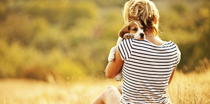 11 Benefícios para a saúde de possuir um cão