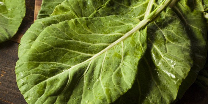 11 benefícios de saúde impressionantes de Collard Greens