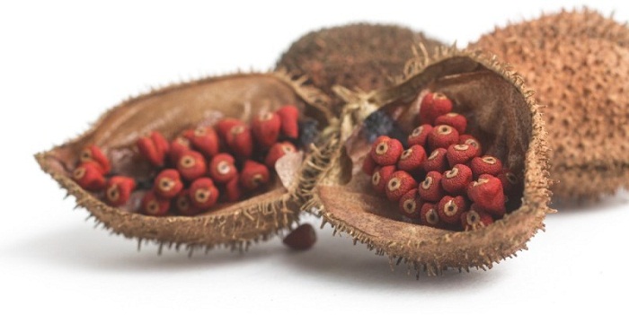 11 benefícios de saúde impressionantes do urucum (Atsuete)