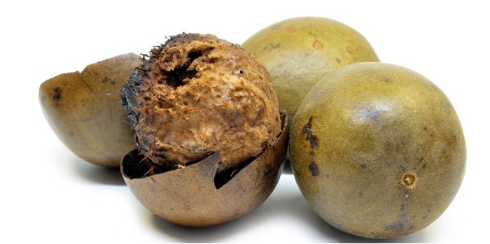 11 benefícios de saúde surpreendentes da fruta do monge