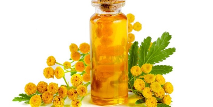 11 benefícios surpreendentes do óleo essencial de Tansy