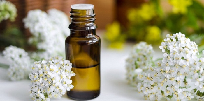 11 benefícios surpreendentes do óleo essencial de Yarrow