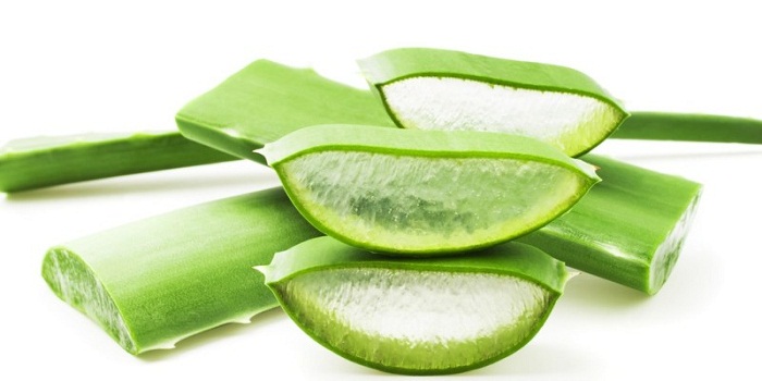 15 benefícios de saúde surpreendentes de Aloe Vera