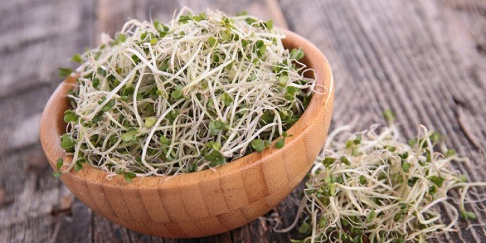 11 benefícios comprovados de brotos de brócolis