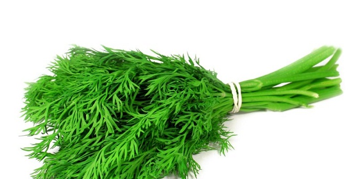 13 benefícios de saúde surpreendentes de Dill Weed