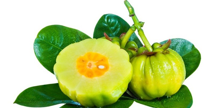 11 benefícios impressionantes da Garcinia Cambogia