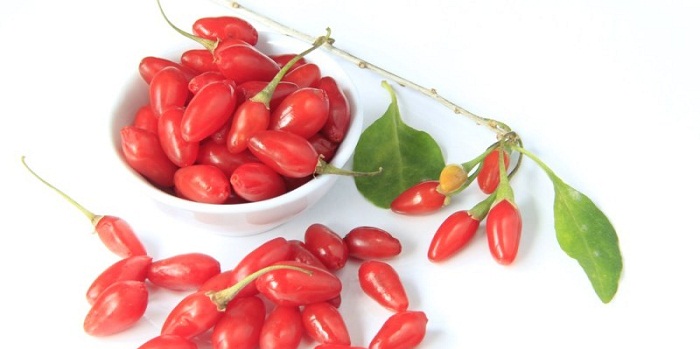 11 benefícios surpreendentes de Goji Berry ou Wolfberry