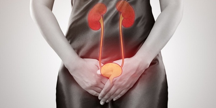 12 sinais de que você pode ter uma infecção renal