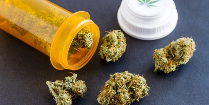 Maconha Medicinal (Cannabis Medicinal)