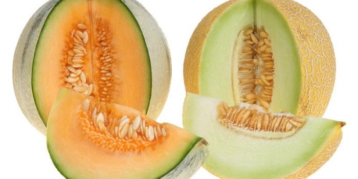 11 benefícios importantes do melão ou muskmelon