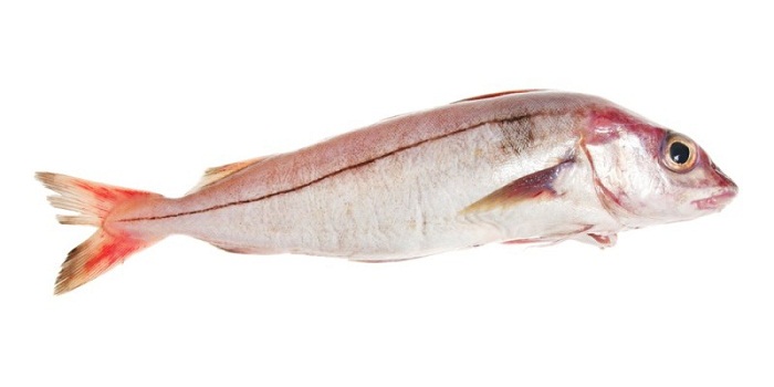 11 Benefícios para a saúde do peixe arinca