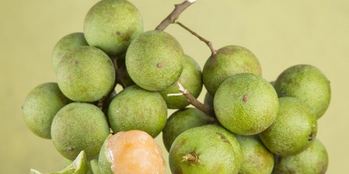 13 benefícios de saúde surpreendentes de quenepas