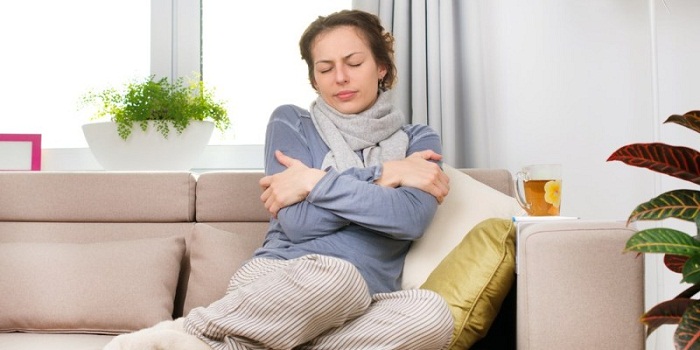 13 remédios caseiros para o frio