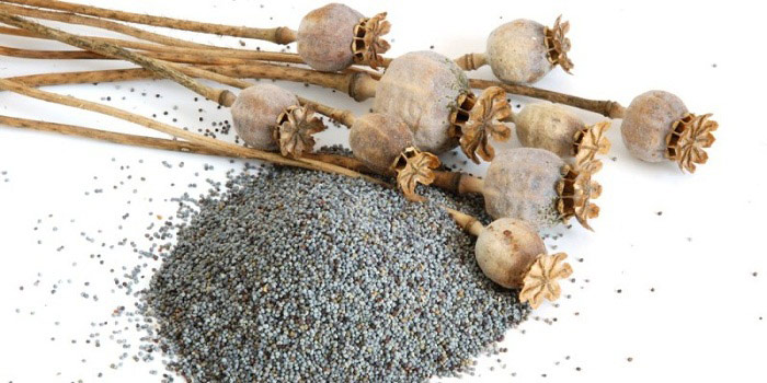 11 benefícios de saúde surpreendentes de sementes de papoula