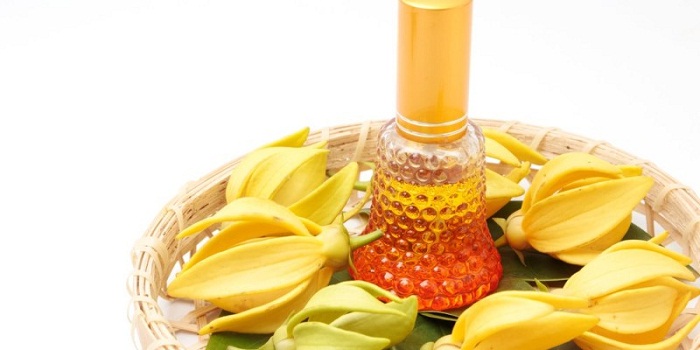 11 benefícios surpreendentes para a saúde do óleo essencial de Ylang-Ylang