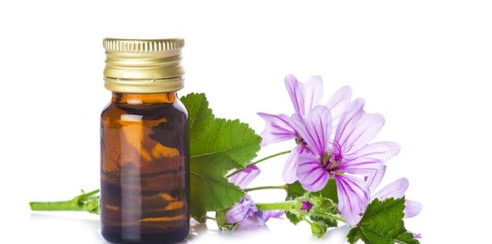 11 Benefícios para a saúde impressionantes do óleo essencial de malva