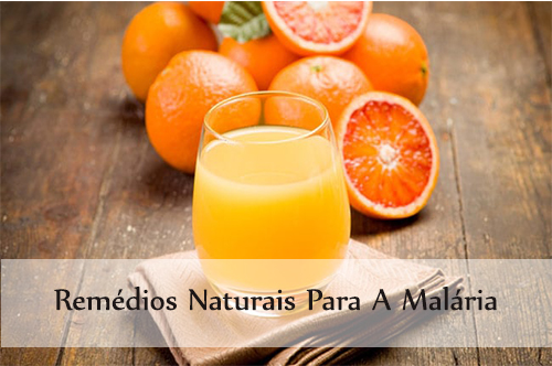 11 remédios naturais para a malária