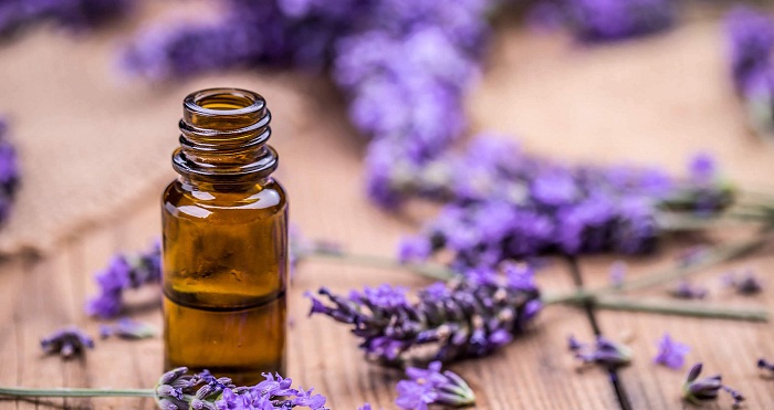 10 Benefícios do Óleo de Lavanda para Doenças Principais e Doenças Menores
