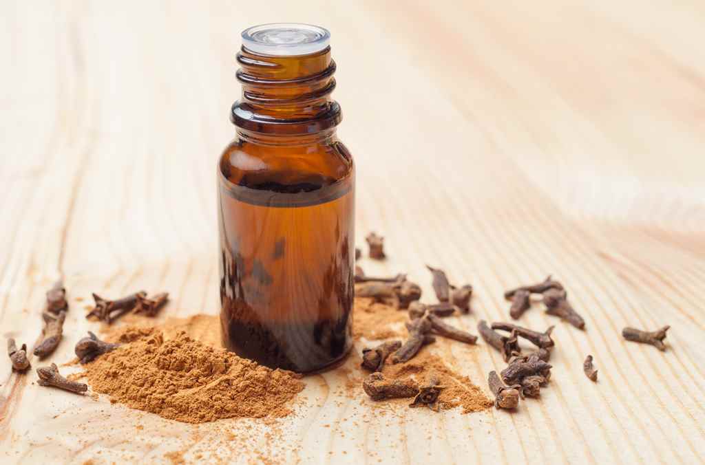 15 benefícios de saúde impressionantes do óleo de cravo